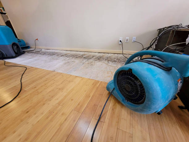 Professional Flood Damage Cleanup technician working in Doty, WA